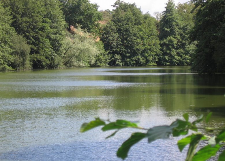 Randonné “La coulée verte”
