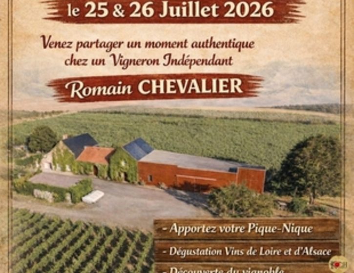 Pique-nique vigneron