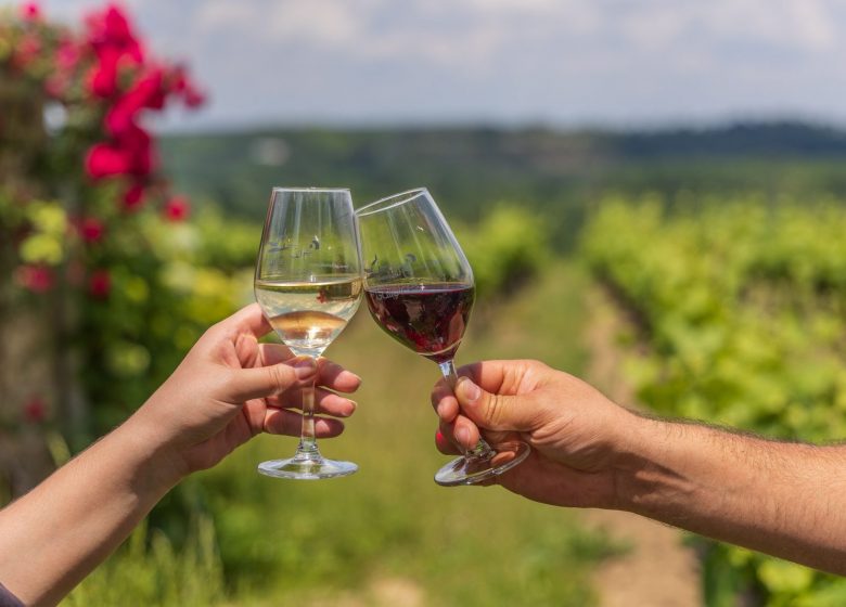 Domaine des Galloires