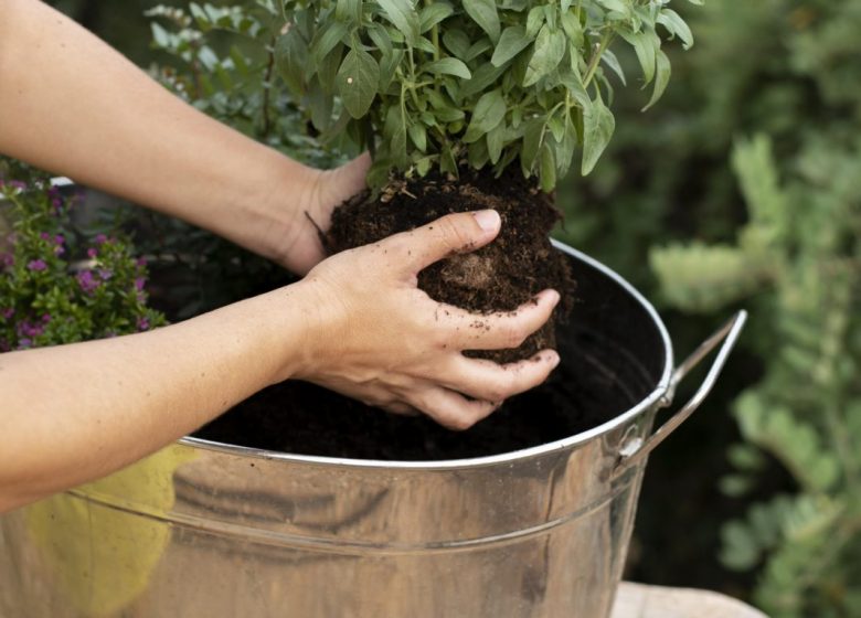 Planter sa jardinière d’aromatiques