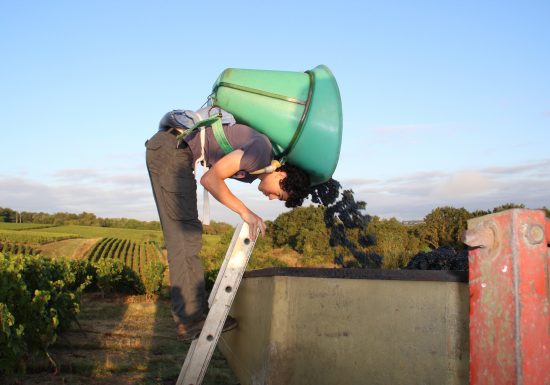 Domaine des Galloires