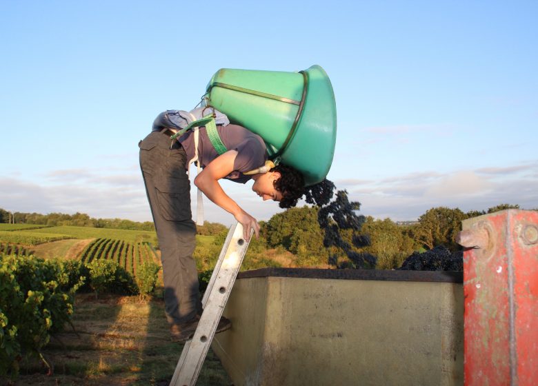 Domaine des Galloires