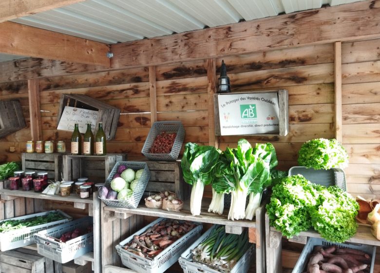 Le Potager des Variétés Oubliées