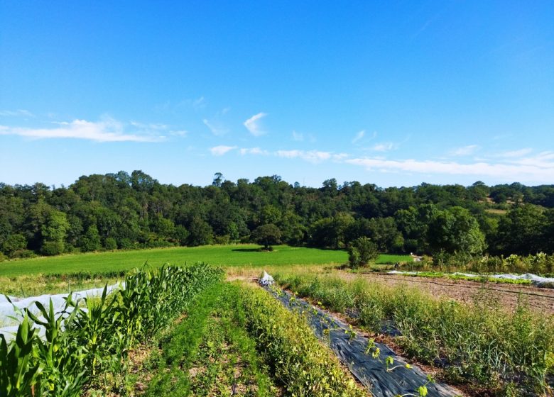 Le Potager des Variétés Oubliées