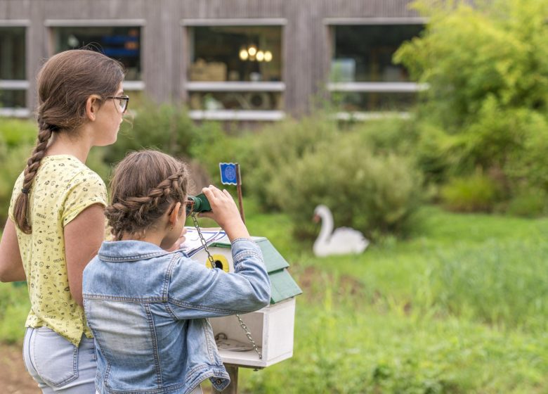 Rallye des oiseaux à Cap Loire