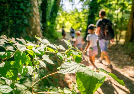 Balade interactive baludik “Les arts en chemin”