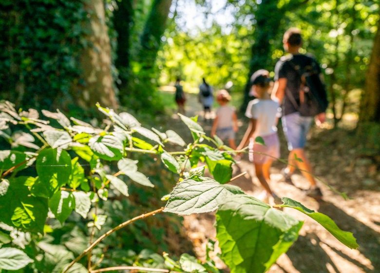 Balade interactive Baludik “Le mystère du Loch Èvre”