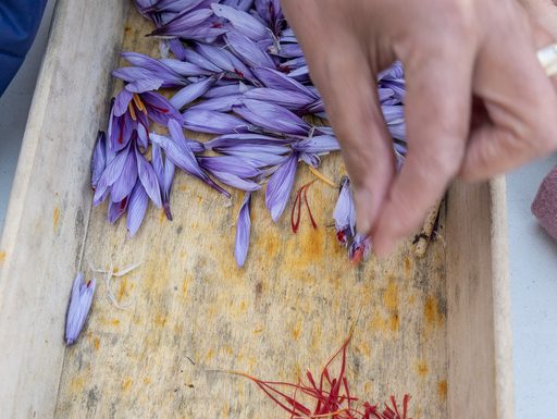 Éveil des sens, du safran au yoga
