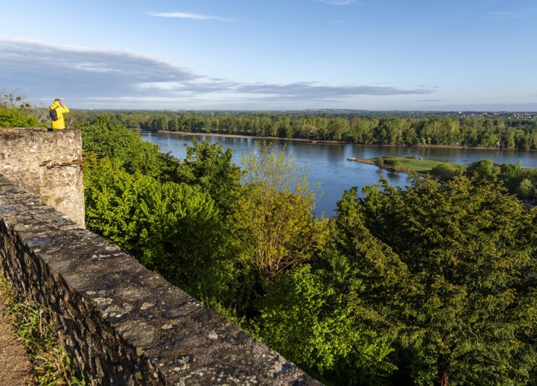 Circuit touristique de Saint-Florent-le-Vieil