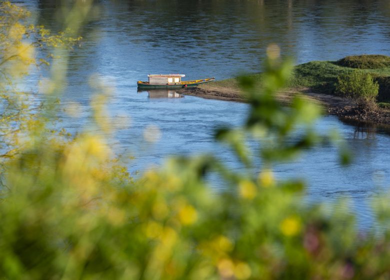 Jeu de piste sur le castor organisé par la LPO