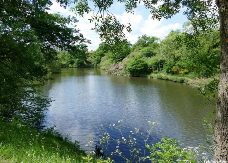 Randonnée photographique “La coulée de la Divatte”