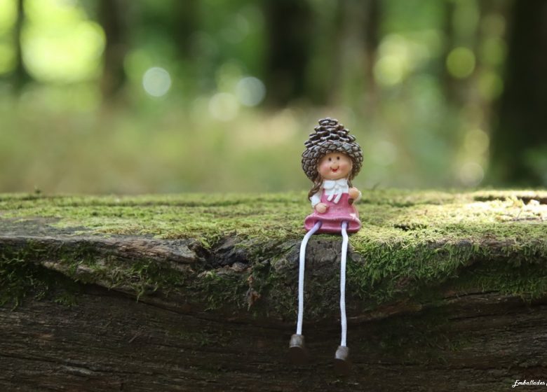 Balade photographique “SpéciaL scénettes” dans le parc de Beaupréau