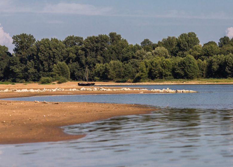 Parcours Canoë Loire N°5