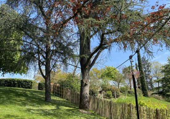 Gîte de la Roullière – Marronier