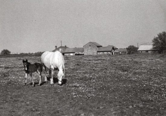 La campagne de St Laurent