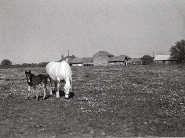 La campagne de St Laurent