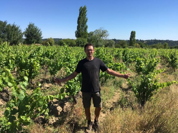 Domaine viticole Le raisin à plume