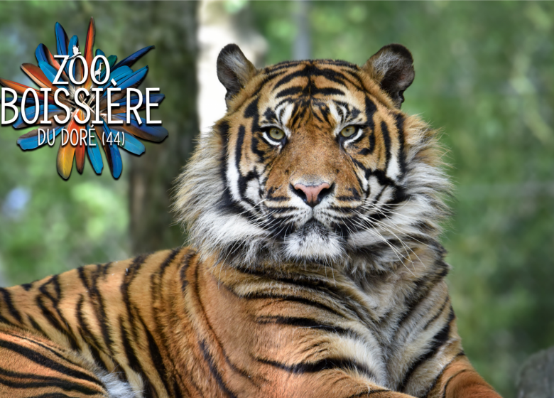 Zoo de la Boissière-du-Doré