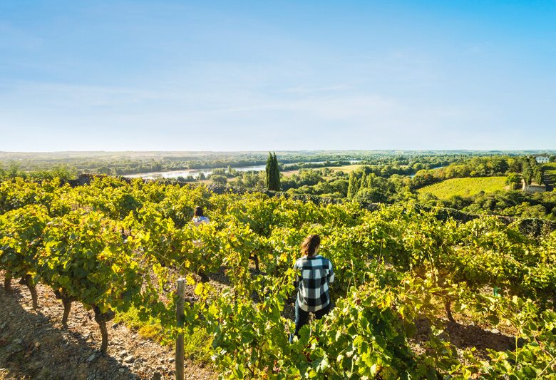 Route des vins – Loire sauvage et corniche angevine