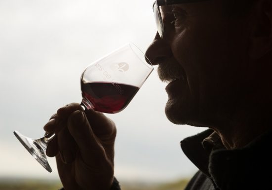 Les Vignes de l’Alma