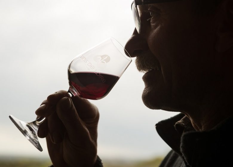 Les Vignes de l’Alma
