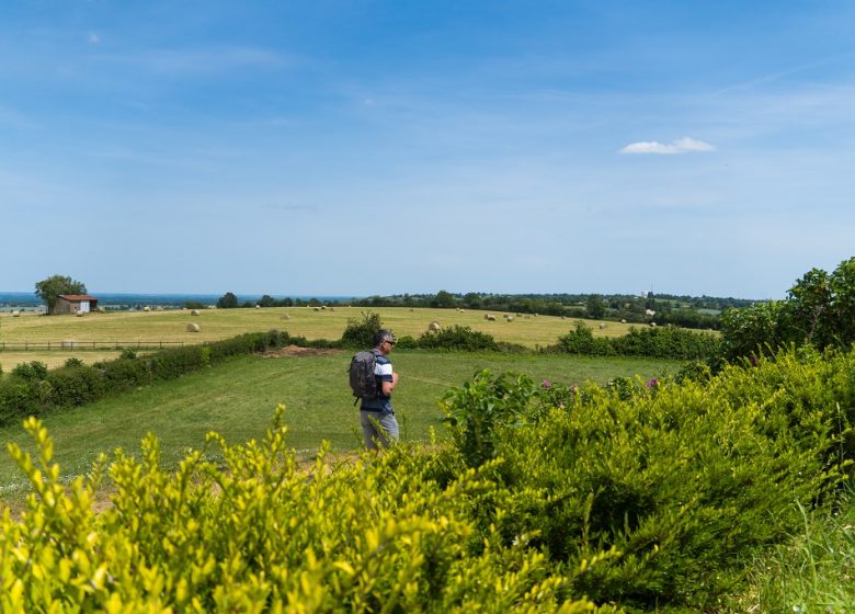 Panorama le toit de l’Anjou