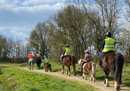Balade à cheval et à poney avec l’association “À quatre temps”