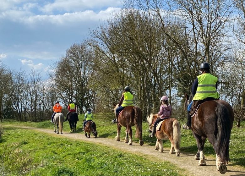 Balade à cheval et à poney avec l’association “À quatre temps”
