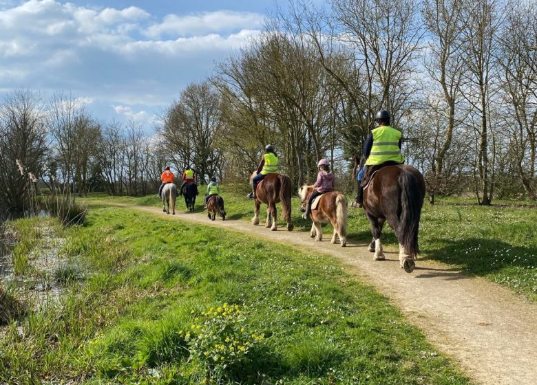 Stages été – Plongez dans l’univers du cheval avec l’association A quatre temps
