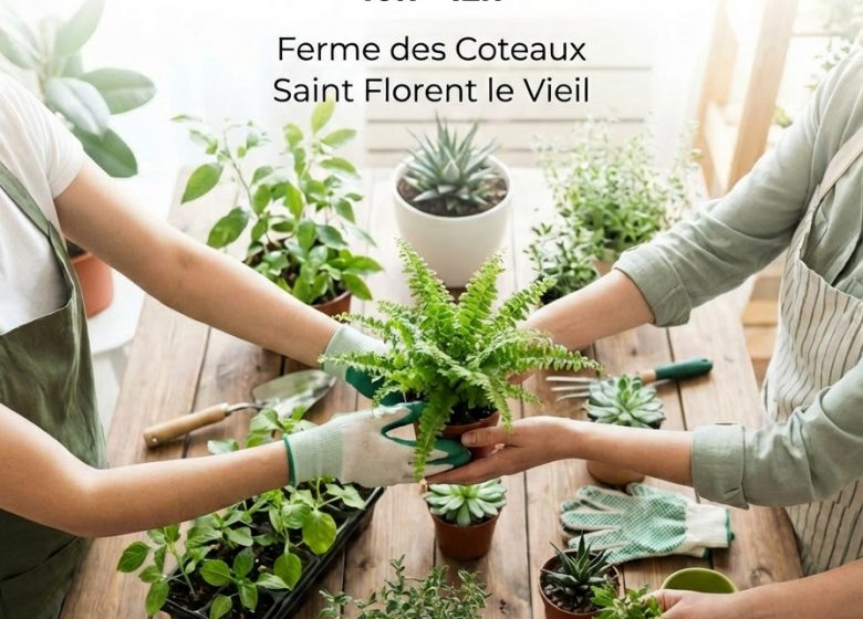 Troc plantes de printemps