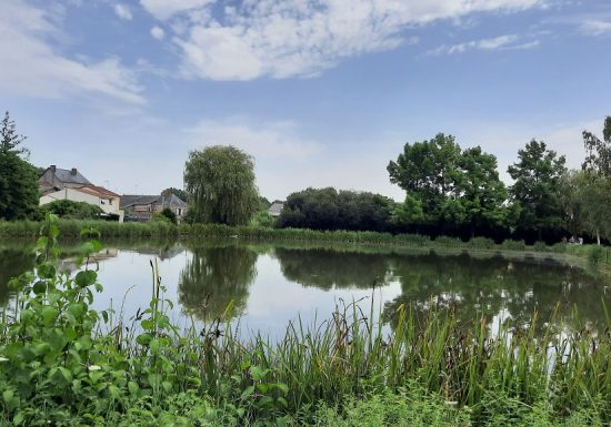 Aire de pique-nique de l’étang à Saint-Lézin