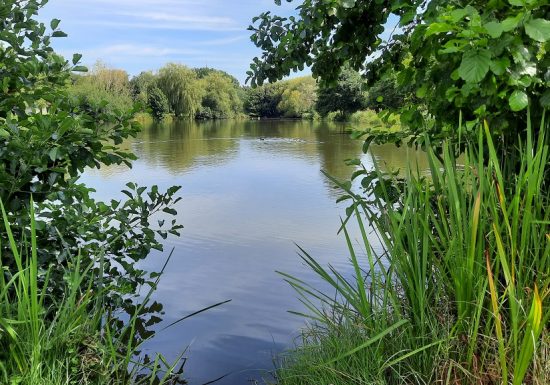 Aire de pique-nique des étangs à Melay