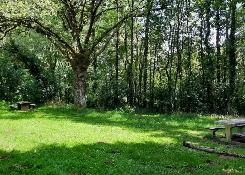 Aire de pique nique “Espace Bikini”