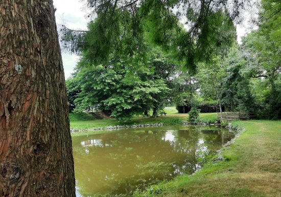Aire de pique-nique de Neuvy-en-Mauges