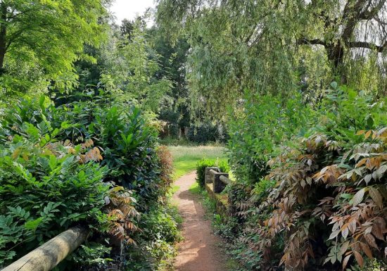 Aire de pique-nique de la Carrière