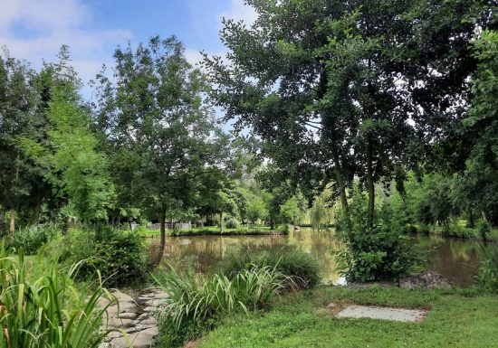 Aire de pique-nique de la Fontaine