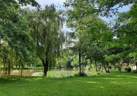 Aire de pique-nique de la Fontaine