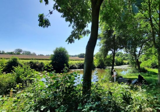 Aire de pique-nique du Petit Coin