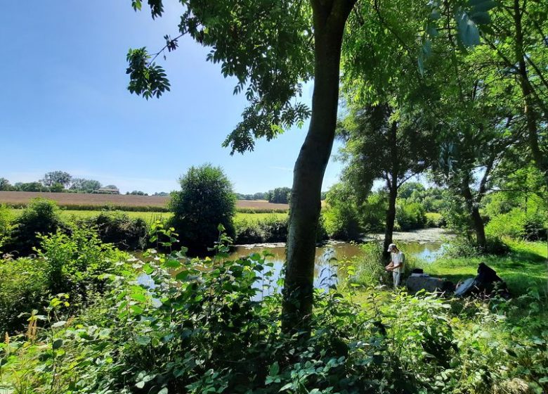 Aire de pique-nique du Petit Coin