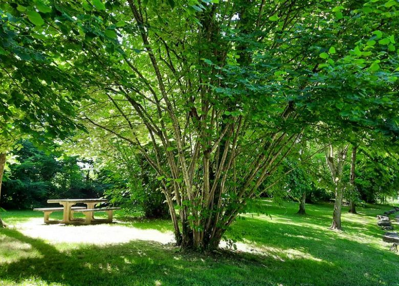 Aire de pique-nique du Petit Coin