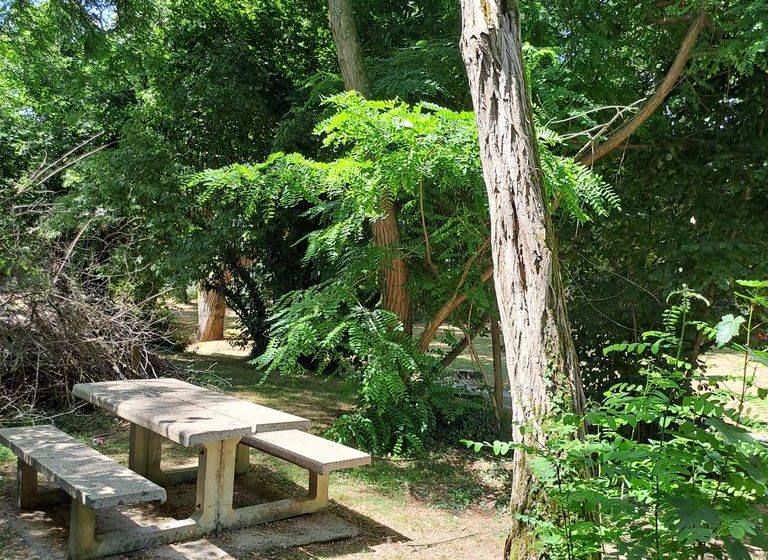 Aire de pique-nique du Petit Coin