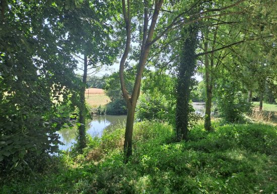 Aire de pique-nique du Petit Coin