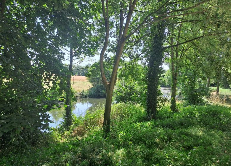 Aire de pique-nique du Petit Coin