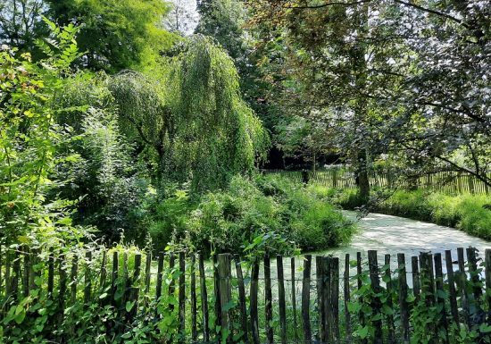 Aire de pique-nique du parc du Château des Cloîtres