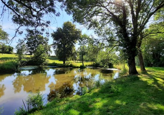 Aire de pique nique du Poizeaux à Chanzeaux