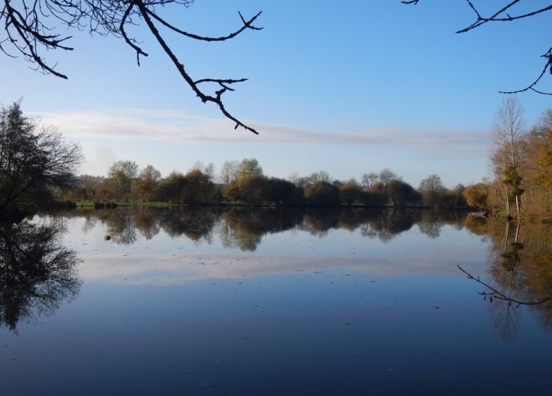 PÊCHE AU PLAN D’EAU DE LA GRAND’FOSSE