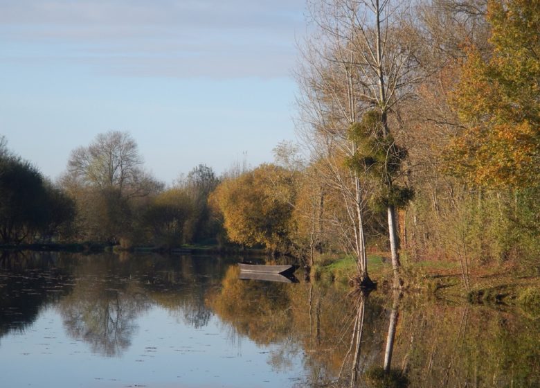 PÊCHE AU PLAN D’EAU DE LA GRAND’FOSSE