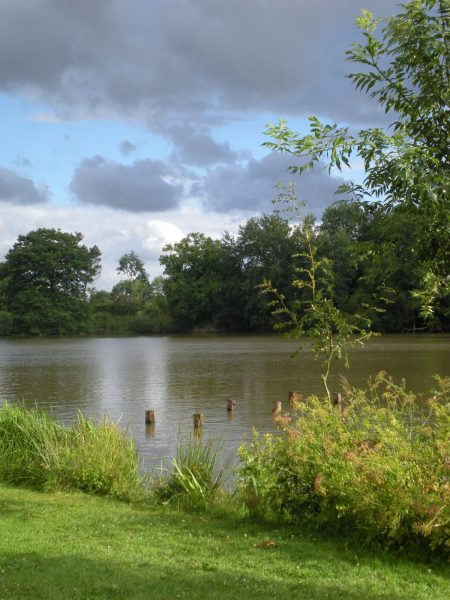 Etang de la Thévinière 