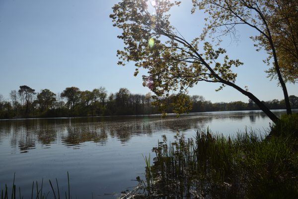 Croix commémorative du château du Plessis via la randonnée "Aux abords de la Thévinière"