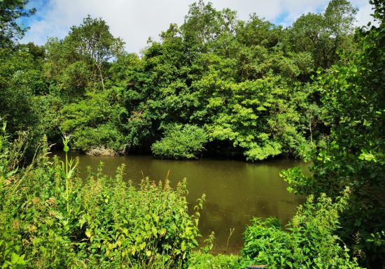 Aire de pique-nique de Coulaines à La Chapelle-Saint-Florent